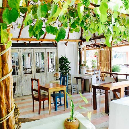פוארטו מורלוס Posada Amor Hotel Boutique מראה חיצוני תמונה