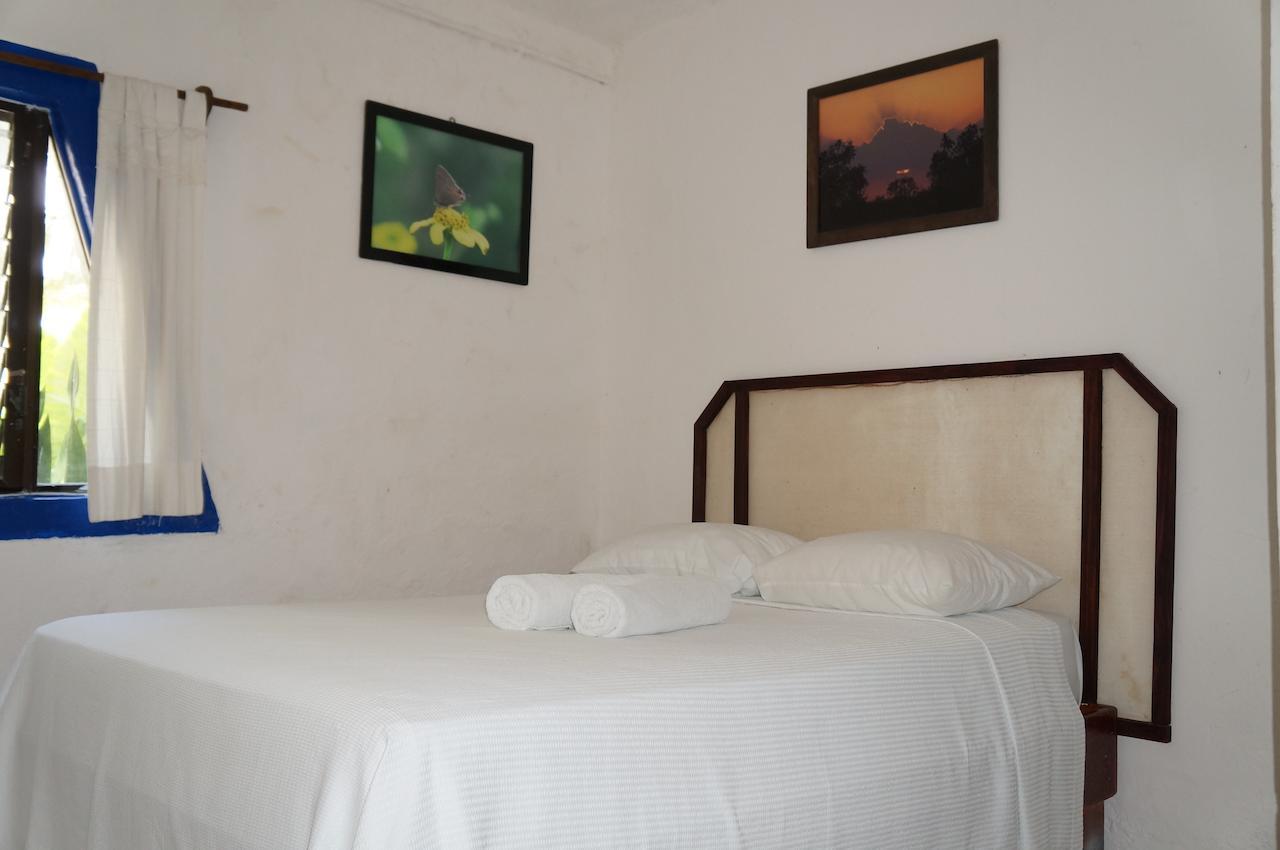 פוארטו מורלוס Posada Amor Hotel Boutique מראה חיצוני תמונה