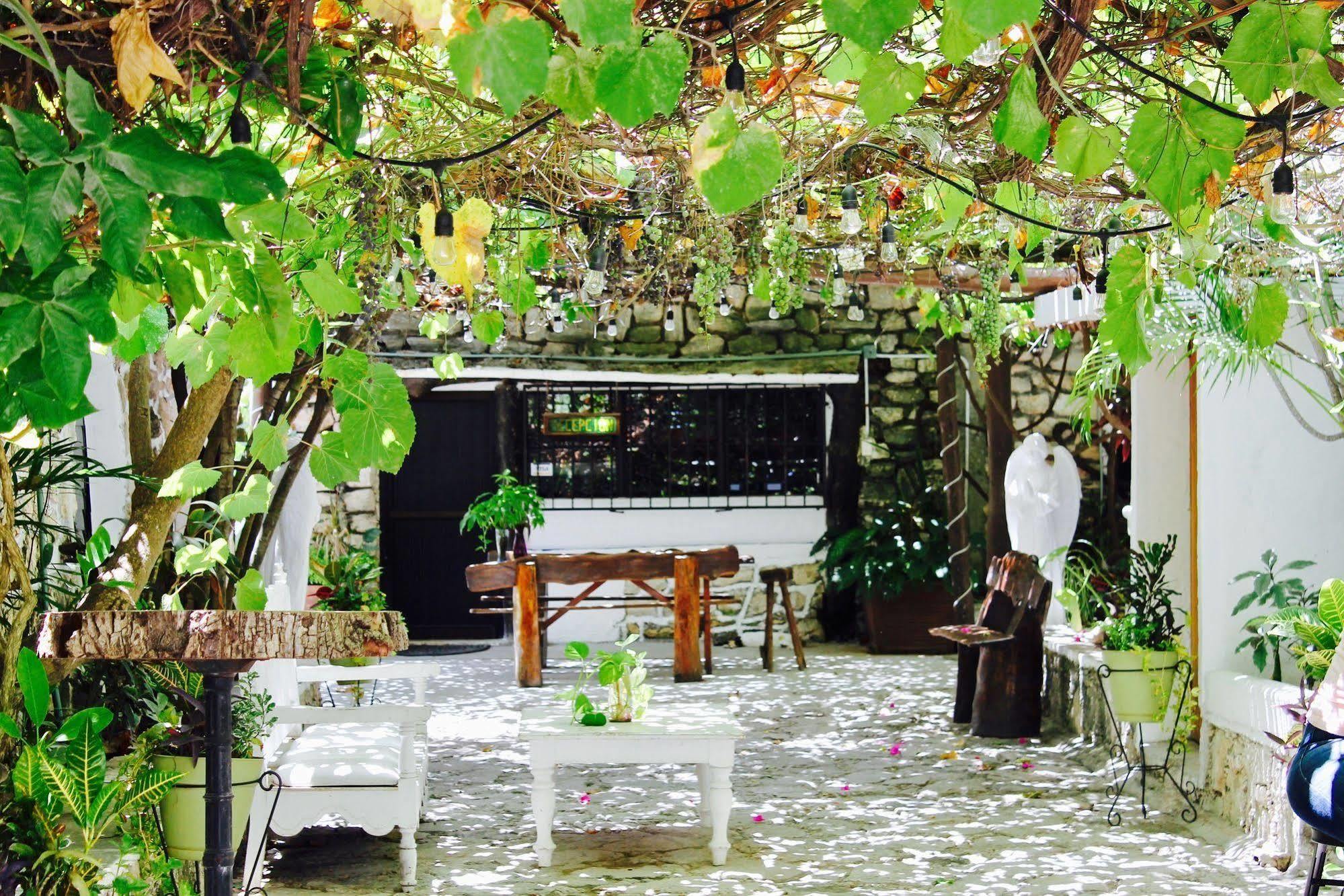 פוארטו מורלוס Posada Amor Hotel Boutique מראה חיצוני תמונה